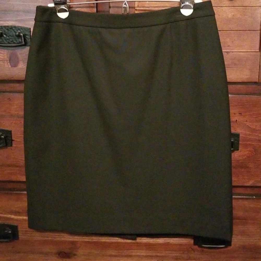 Ann Taylor skirt